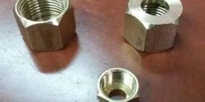 Hex Nuts