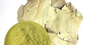 Parijatak Pan Powder