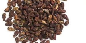 Shivlingi Seed Powder