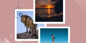 Safari Tour Packages