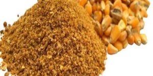 CORN MEAL DDGS 26% FOR ANIMAL FEED