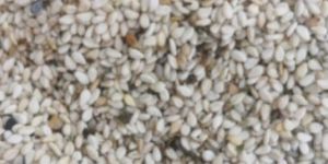 Dried Sesame Seeds