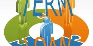 Term Loan Consultancy Services