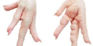 Chicken Paws