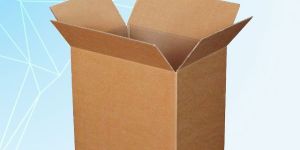 Disposable Kraft Corrugated Box