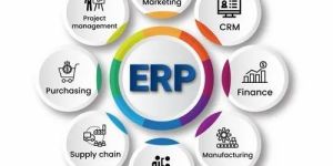 ERP Software Development Service