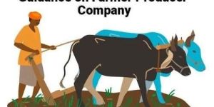 Farmer Producer Company Registration Services