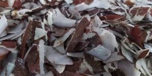Coconut Peelings