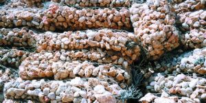 Sack Gabions