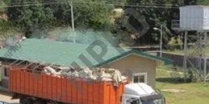 Rice Mill Weighbridge