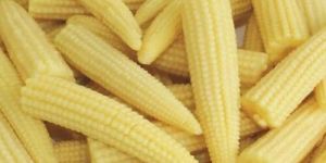 Frozen Baby Corn