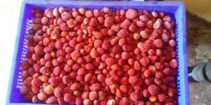 Frozen Whole Strawberry