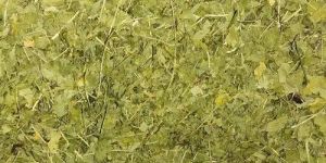 Dehydrated Coriander