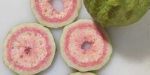 Dehydrated Guava