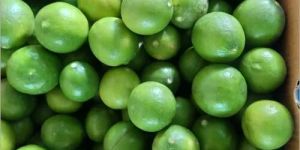 Fresh Sweet Lime