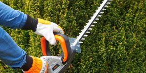 Hedge Trimmer