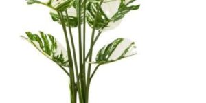 White Monstera Decorative Artificial Plants