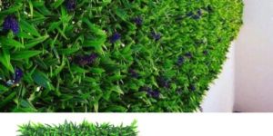 Wild Greens Artificial Green Walls