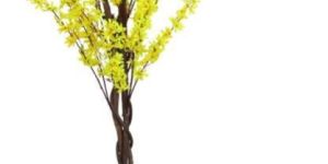 Winter Jasmine Artificial Plants