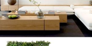 Winter Rosetta a Artificial Green Walls