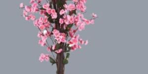 Wintersweet Pink Decorative Plants