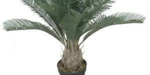 Yucca 2150 Decorative Plants