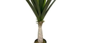 Yucca 2152 Artificial Plants