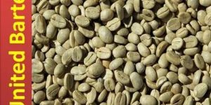 RC a Robusta Raw Green Coffee Beans