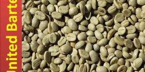 Green Coffee Beans