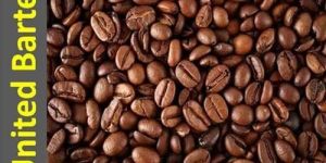 RC PB Robusta Roasted Coffee Beans