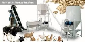 Poultry Feed Plant