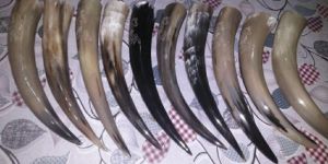 Viking Drinking Horn