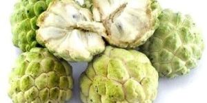 Custard Apple
