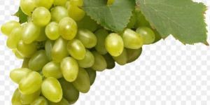 Fresh Grapes