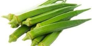 Okra