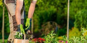 Garden Cleaning Service