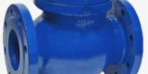 PN10/16 Swing Check Valve