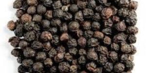 Export Quality Black Pepper