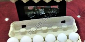 12 Egg Hot Pressed Paper Pulp Tray with Lock