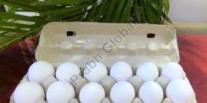 12 Eggs Paper Pulp Tray with Lock