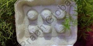 12 Eggs Paper Pulp Tray without Lock