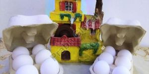 6 Eggs Paper Pulp Tray without Lock