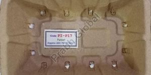 Egg Storage Punnet Tray