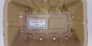 Paper Pulp Containers