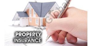 Property Insurance Service