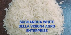 all basmati & non basmati rice available