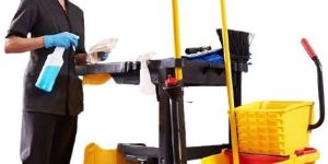 Domestic Housekeeping Services