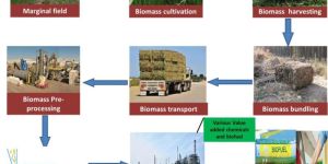 Biomass Supply Chain Management