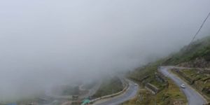 Landscape Architecture Service