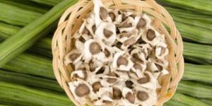 Moringa Seeds with Wings